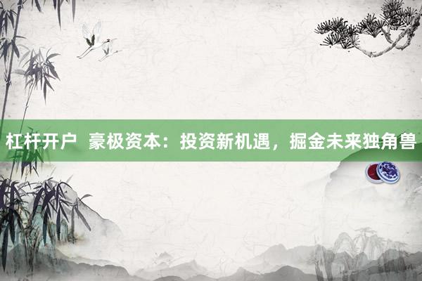 杠杆开户  豪极资本：投资新机遇，掘金未来独角兽