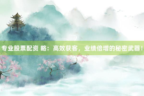 专业股票配资 略：高效获客，业绩倍增的秘密武器！