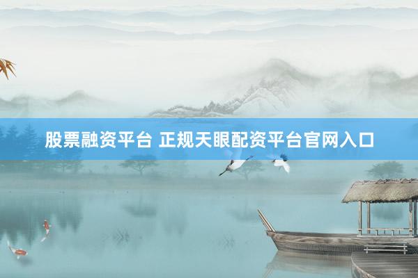 股票融资平台 正规天眼配资平台官网入口