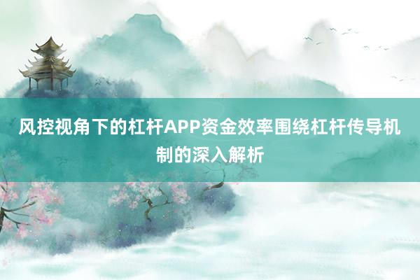 风控视角下的杠杆APP资金效率围绕杠杆传导机制的深入解析