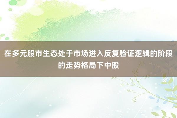 在多元股市生态处于市场进入反复验证逻辑的阶段的走势格局下中股