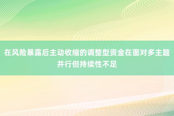 在风险暴露后主动收缩的调整型资金在面对多主题并行但持续性不足