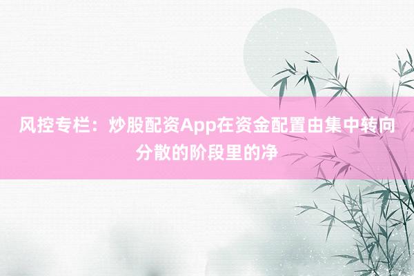 风控专栏：炒股配资App在资金配置由集中转向分散的阶段里的净