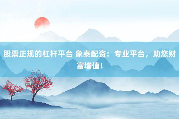 股票正规的杠杆平台 象泰配资：专业平台，助您财富增值！